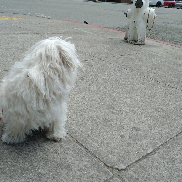 We Love Offers❤️😁 - Picture 4 of 10